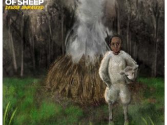 stogie t empire of sheep album download
