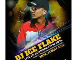 Dj Ice Flake mp3 download