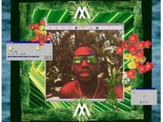 OkMalumKoolkat Ft. Amadando