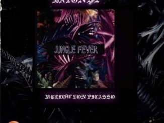 DOWNLOAD MP3 Batondy – Jungle Fever Ft. Mellow Don Piccaso