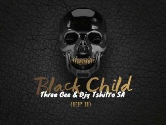 Three Gee & Djy Tshitro SA