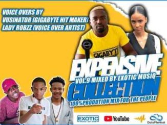 DOWNLOAD MP3 Unlimited Soul & Exotic Musiq – Expensive Collection Vol. 9