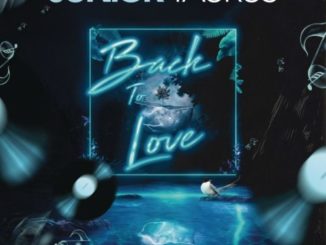 ALBUM: Junior Taurus – Back to Love