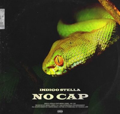 Indigo-Stella-–-No-Cap-Ft.-Bryan-Cheru