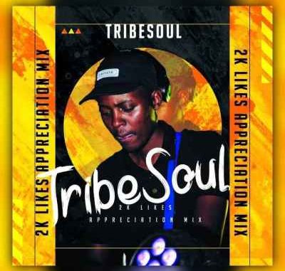 TribeSoul-–-2K-Appreciation-Mixtape