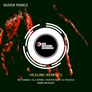 Buder-Prince-–-Healing-Remixes