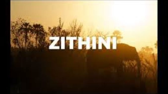 Mr-Jazziq-Lady-Du-Zuma-Busta-929-–-Zithini-Prod.-FIBBS