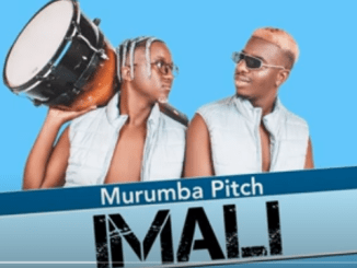 Murumba-Pitch-–-Imali