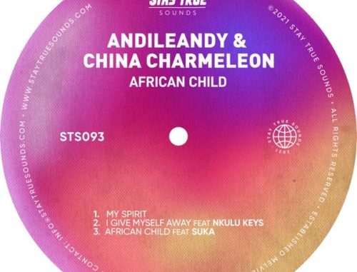 Andileandy-china-charmeleon
