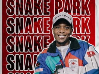 Cyfred – Snake Park ft. Mr JazziQ, Mellow, Sleazy, Seekay & Fake Love