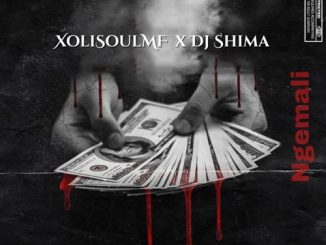 XoliSoulMF – Ngemali ft. DJ Shima