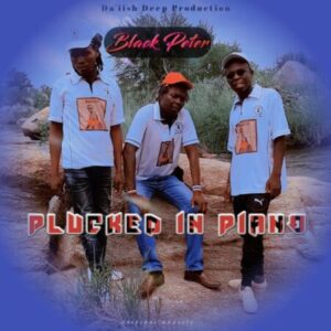 Black-Peter-–-Plucked-In-Piano-mp3-download